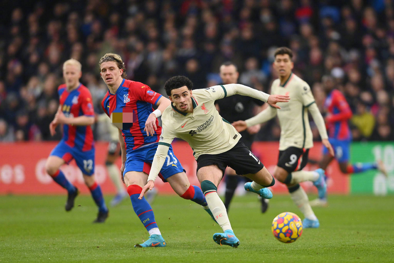 她的比赛不 她的比赛不